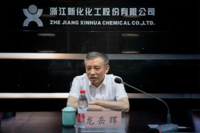 省税务局党委书记、副局长龙岳辉莅临公司调研